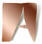 Universitat Aut�noma de Barcelona